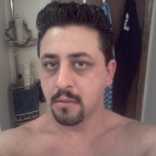 Profile picture of Ciurcina